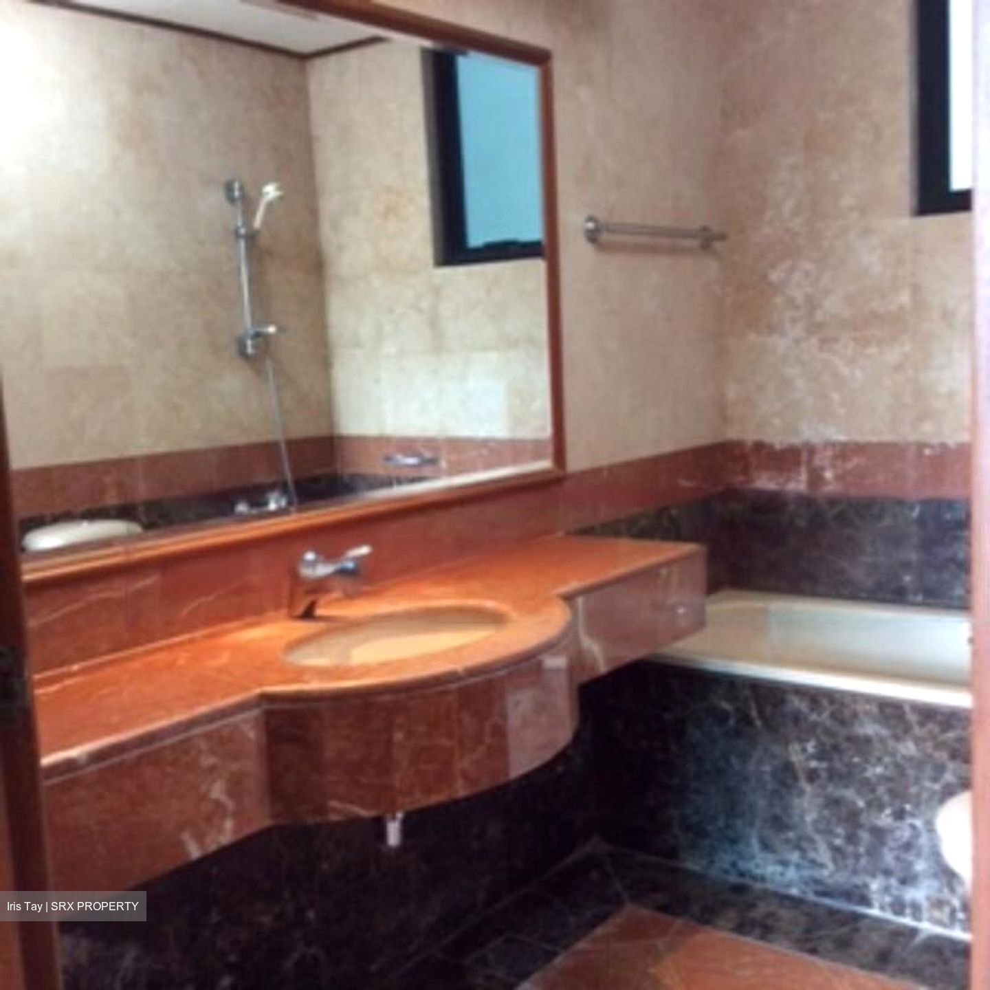 Spring Grove (D10), Condominium #465652551